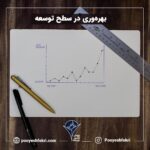 بهره وری در سطح توسعه